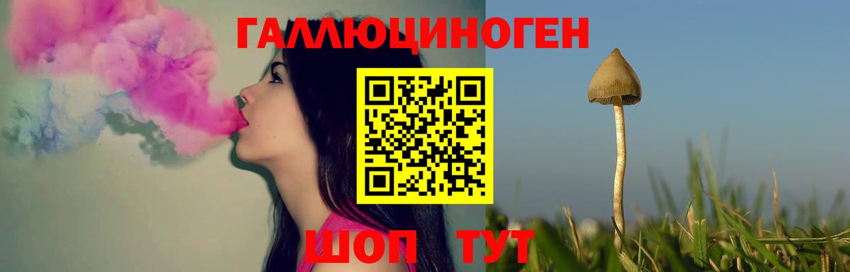 Галлюциногенные грибы ЛСД  Вход с VPN  Прохладный 